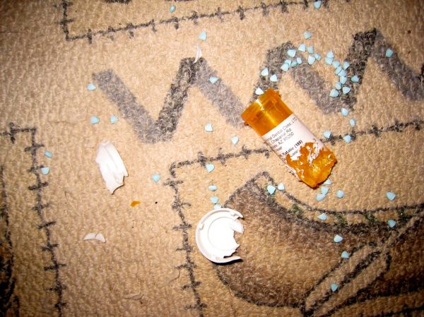 Dog Destruction