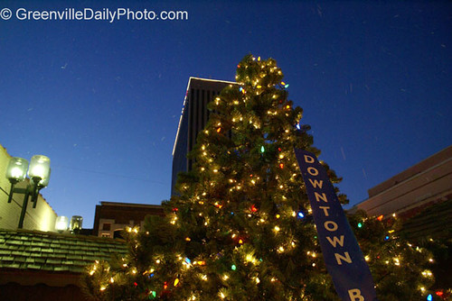 Downtown Business Association Christmas tree