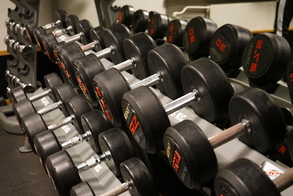 Dumbbells rack gym