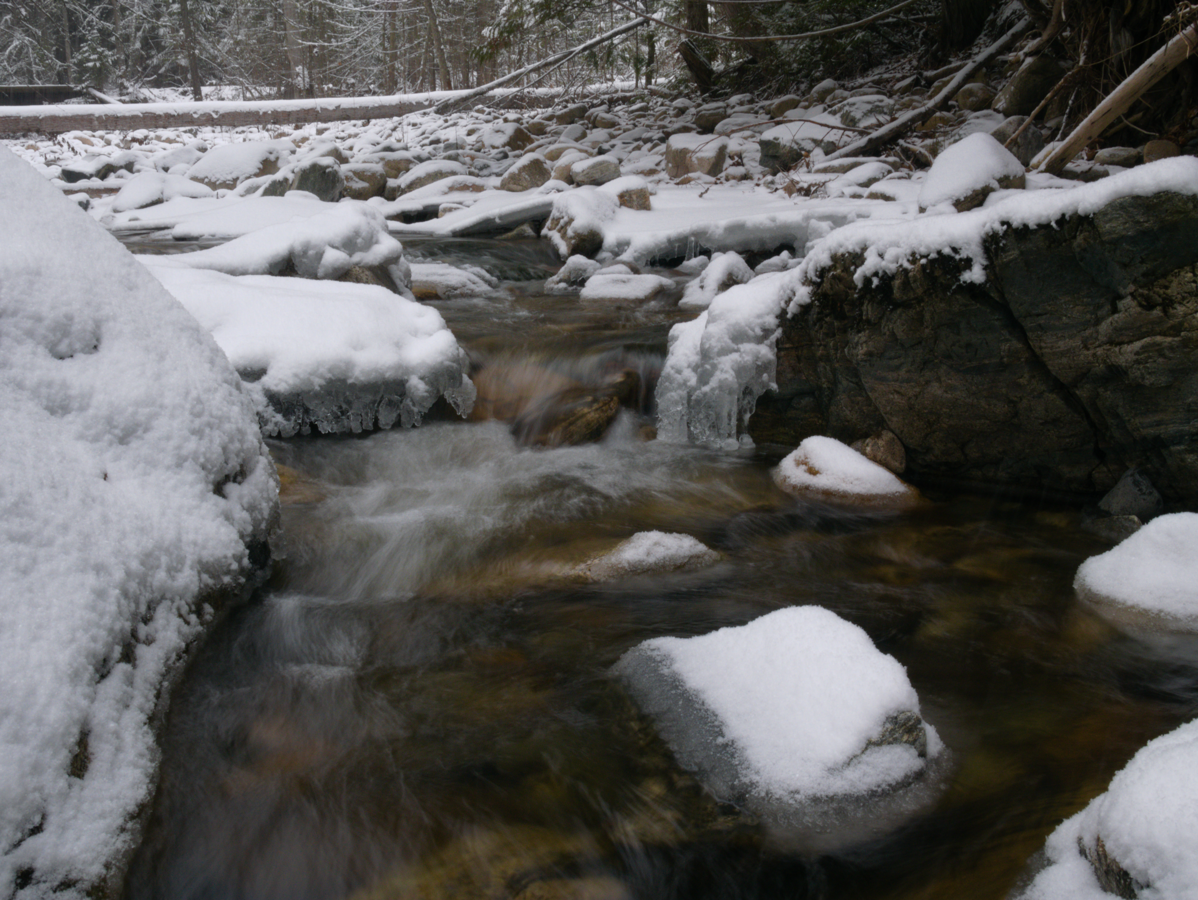 Early winter snow falls on KLO Creek