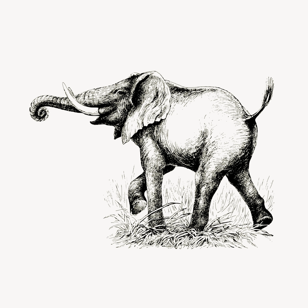 Elephant clipart, vintage animal, wildlife