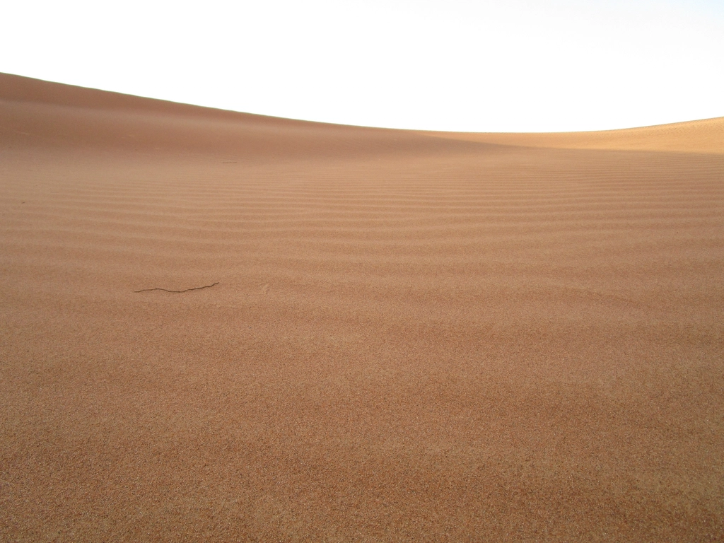 Empty desert landscape scenery