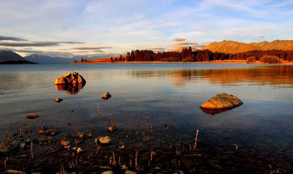 Evening at Lake Tekapo. (11)