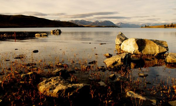 Evening at Lake Tekapo.