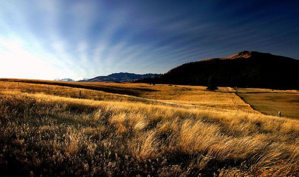 Evening fields. Lake Tekapo.NZ