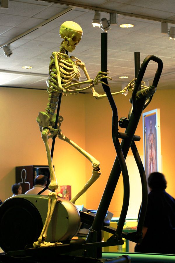Exercise fanatic