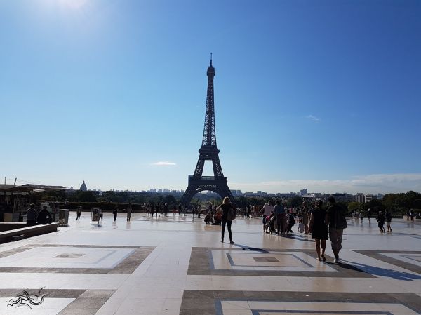 ️ eXploration | France (Paris) | 🌌Nature/City