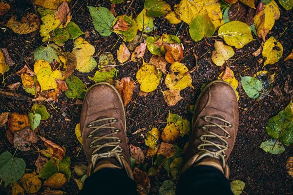 Fall, autumn, leaves, legs and shoes. Conceptual image of legs in boots on the autumn leaves. Feet shoes walking in nature