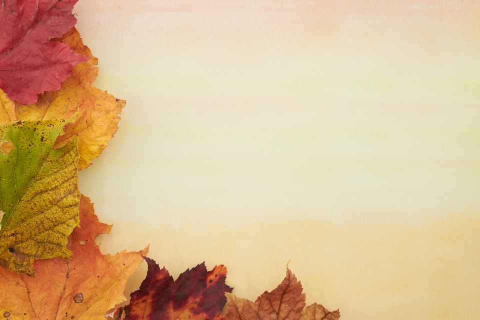 Fall Harvest