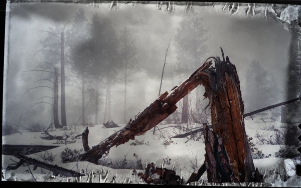 Fallen