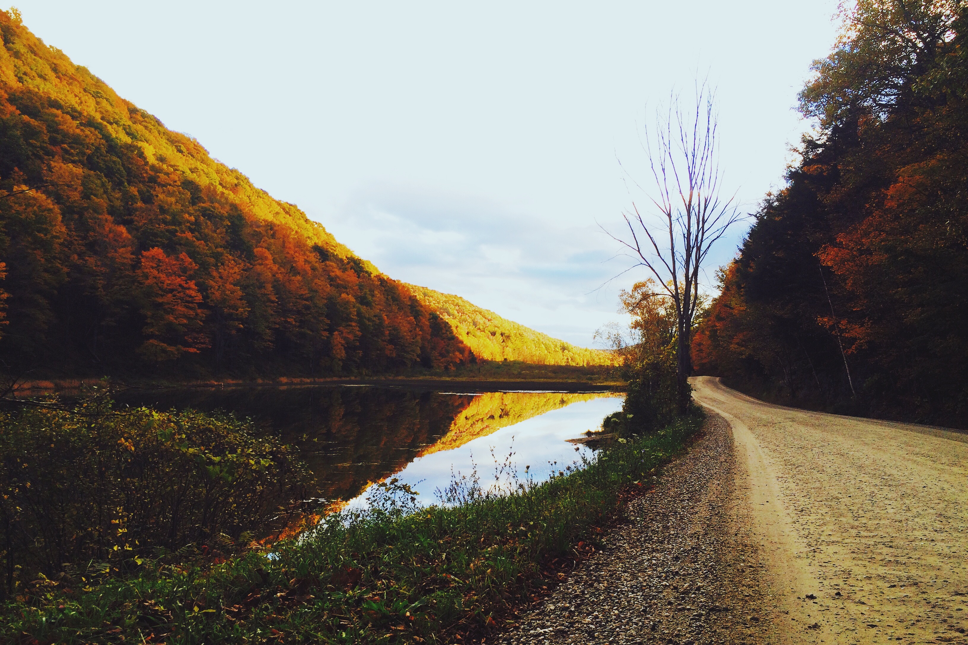 File:Landscape-nature-forest-trees (24244423731).jpg