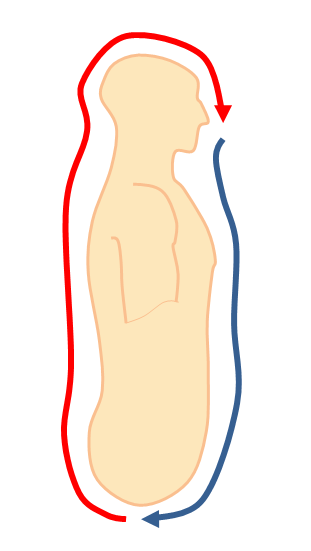 File:Microcosmic orbite.PNG