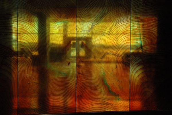 Fingerprint of the Tree