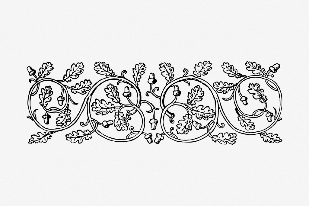 Floral ornament divider hand drawn