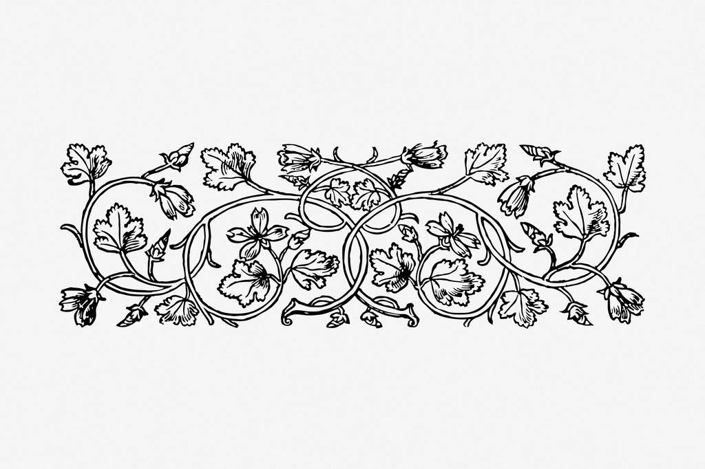 Floral ornament divider hand drawn