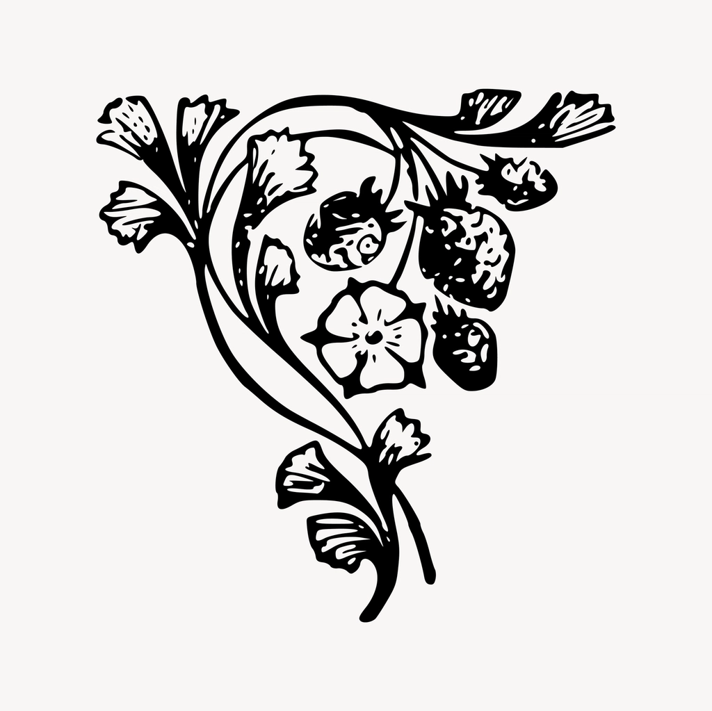 Flower clipart, drawing illustration vector