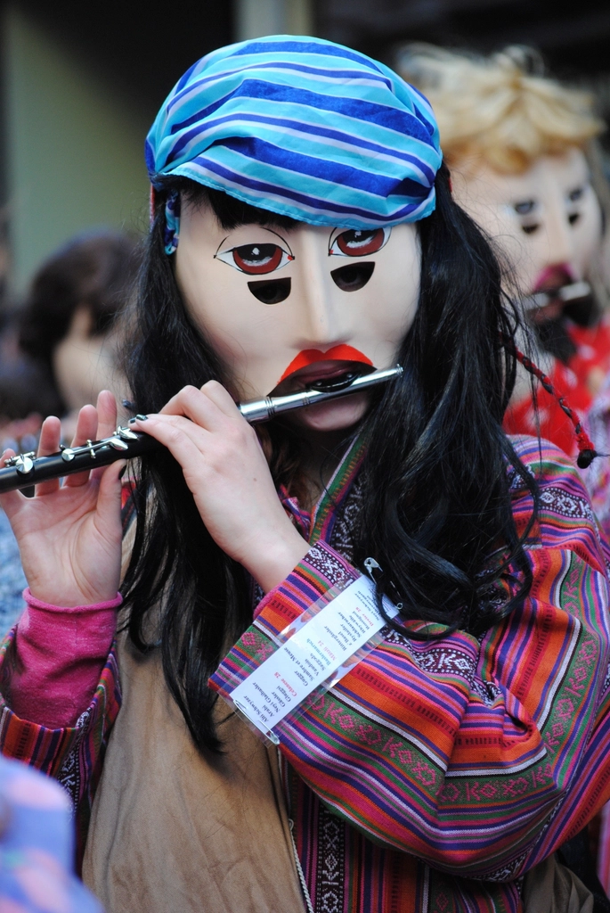 Flute, musical instrument