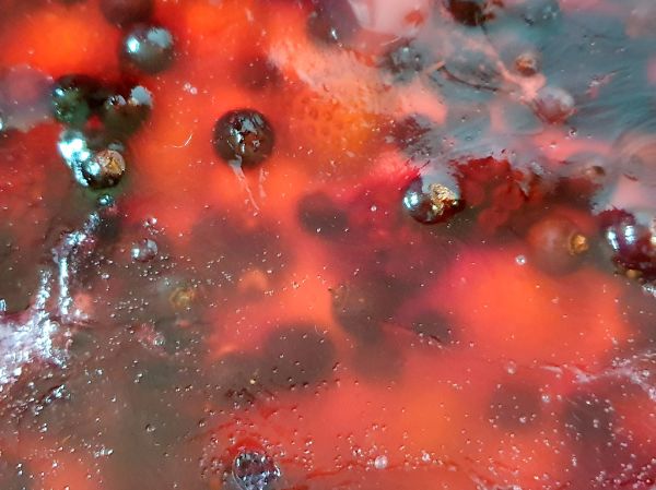 food_fruit_cake_003