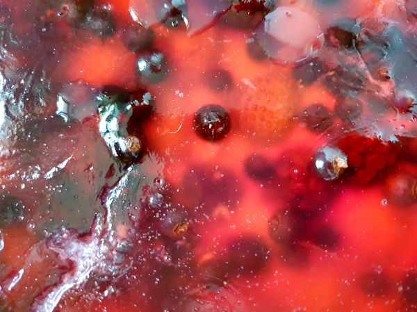 food_fruit_cake_004