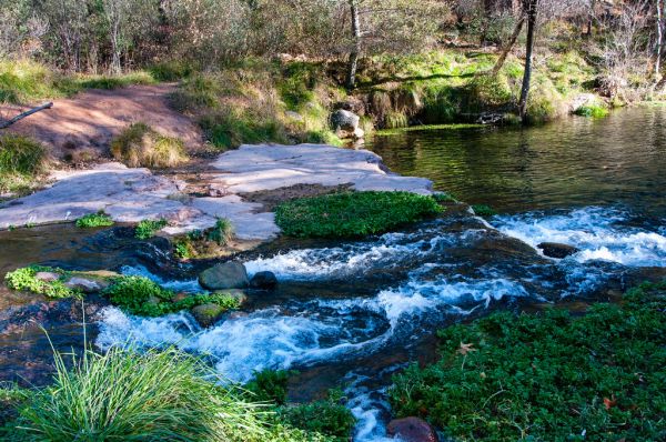 Fossil Creek