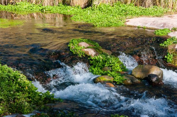 Fossil Creek