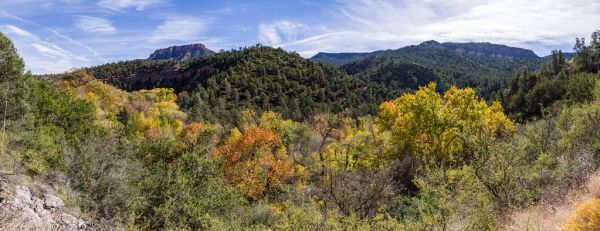 Fossil Springs Trail (November 13, 2017)