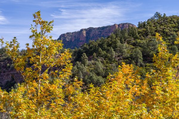 Fossil Springs Trail (November 13, 2017)