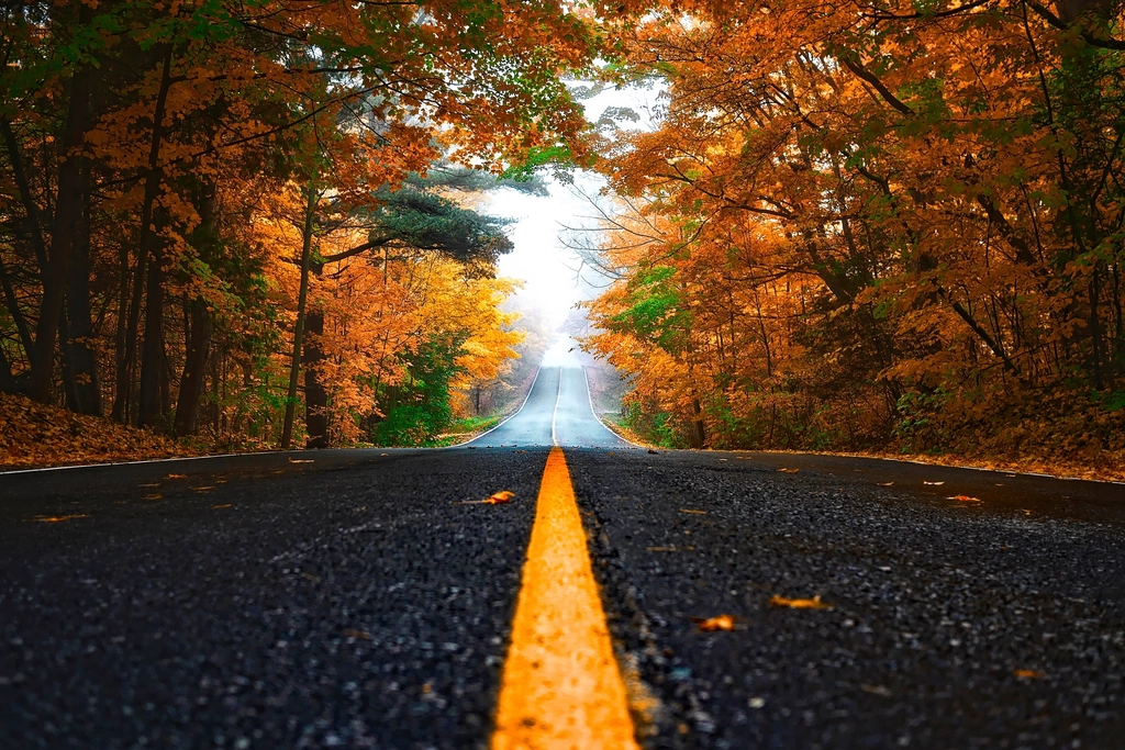 Free autumn fall road orange