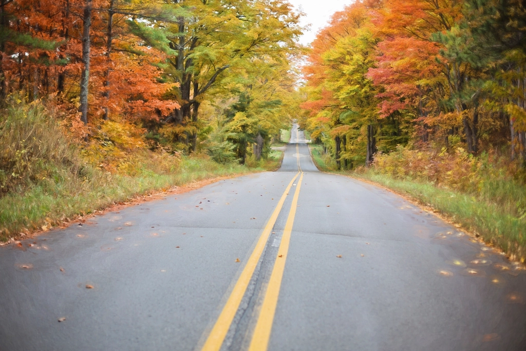 Free autumn fall road orange