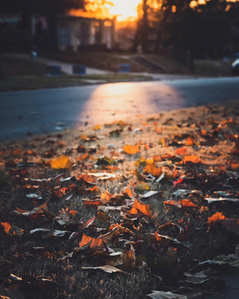 Free autumn fall road orange