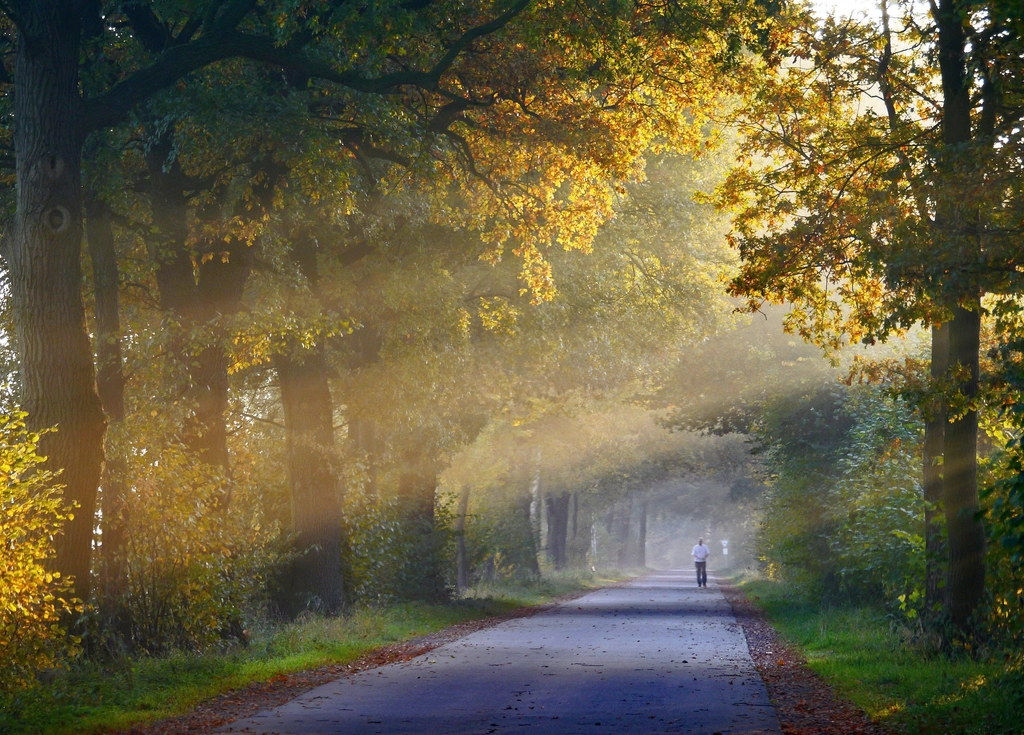 Free autumn fall road orange