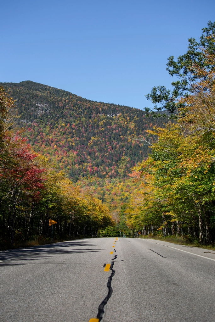 Free autumn fall road orange