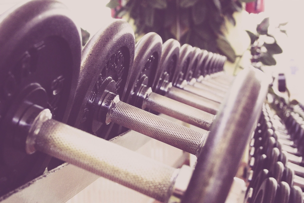 Free gym dumbbell rack photo