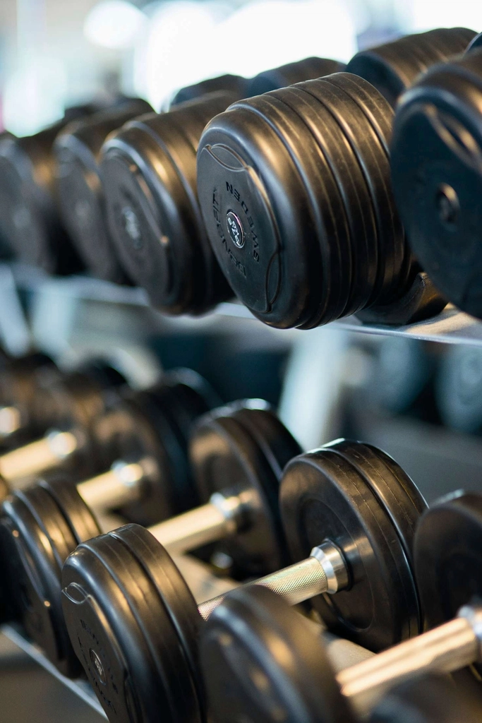 Free gym dumbbell rack photo
