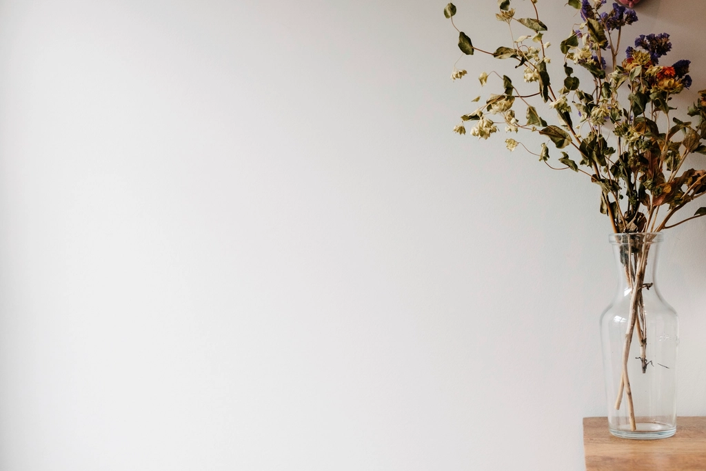 Free minimal white background image