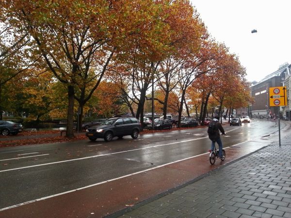Free photo of Amsterdam: picture of colored trees in Fall on a rainy gray Saturday along the street Stadhouderskade, The Netherlands