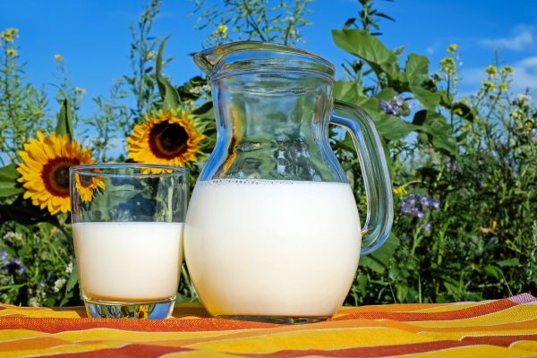 Fresh Milk