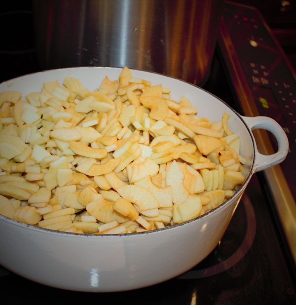 Freshly-cut apples prepared for applesauce
