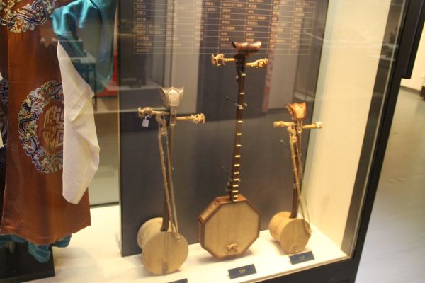 Fujian Stringed Musical Instruments