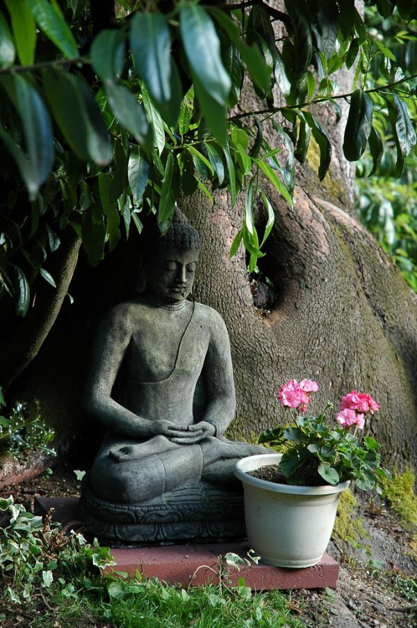 Garden Buddha, statue, pink flowers, meditation position under a large tree with pink flower offering, Wedgwood, Seattle, Washington, USA