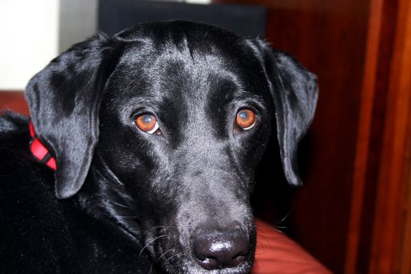 Get That &^$#% Camera Outta My Face!