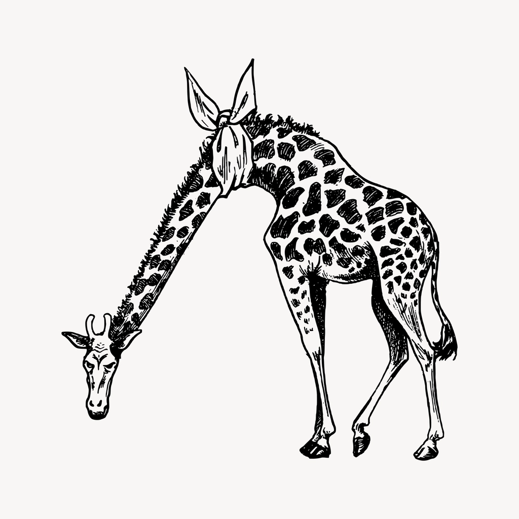 Giraffe drawing, hand drawn illustration