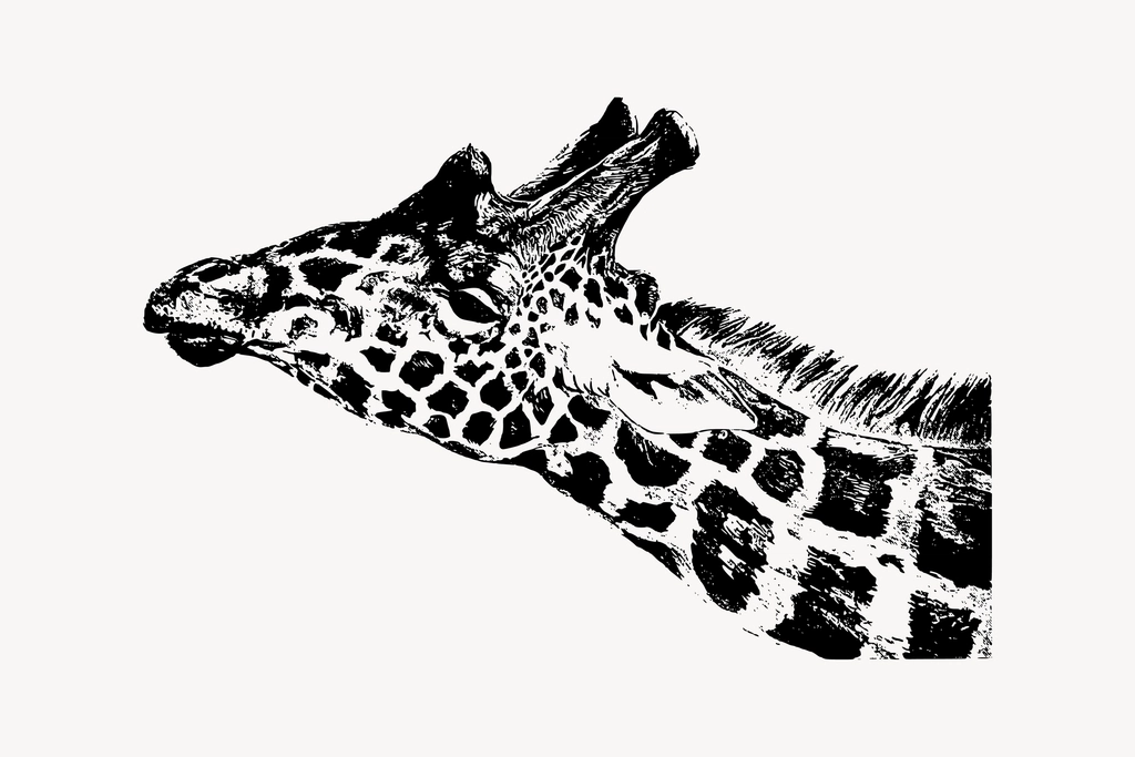 Giraffe sticker, vintage animal, wildlife
