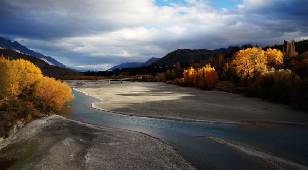 Gold on the Shotover River. Otago