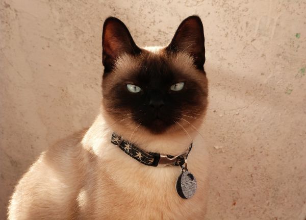 Gorgeous boy