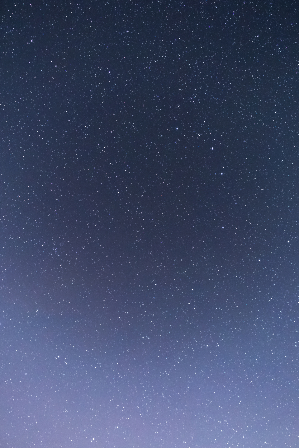 Gradient Night