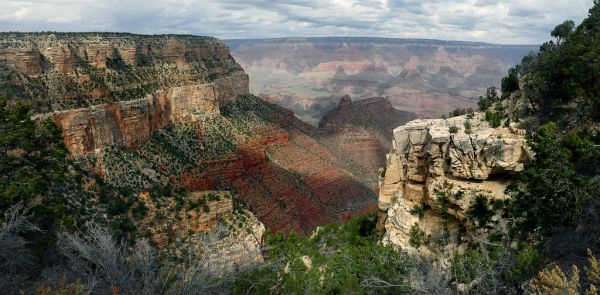 Grand Canyon National Park AZ.