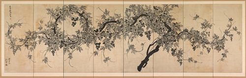 Grapevine early 1800s