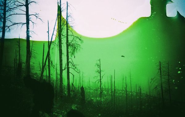 Green and Luscious