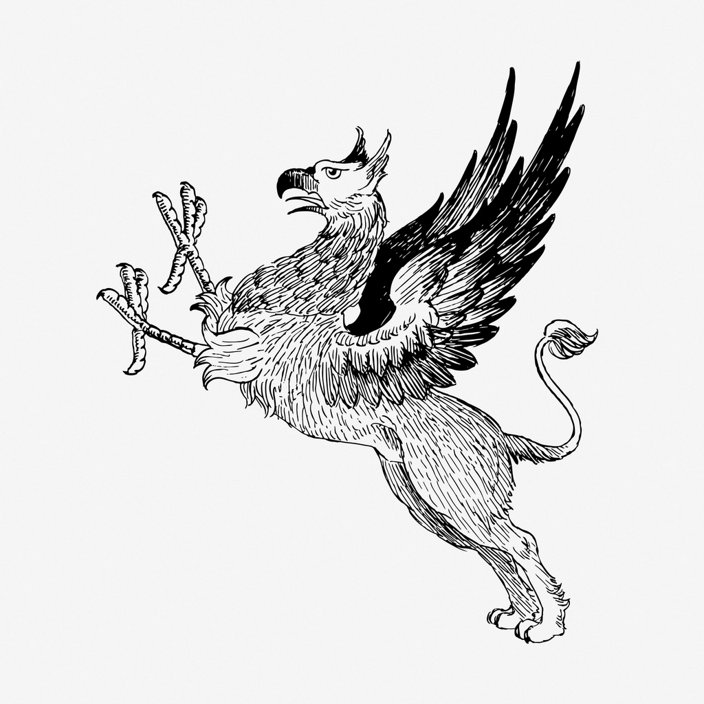Griffin mythical animal hand drawn